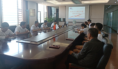 長(zhǎng)白山溫泉黨支部召開(kāi)黨史學(xué)習(xí)教育專題組織生活會(huì)